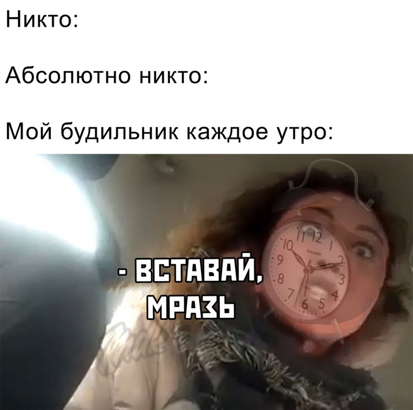 Мем Вези меня мразь Яна Данькова