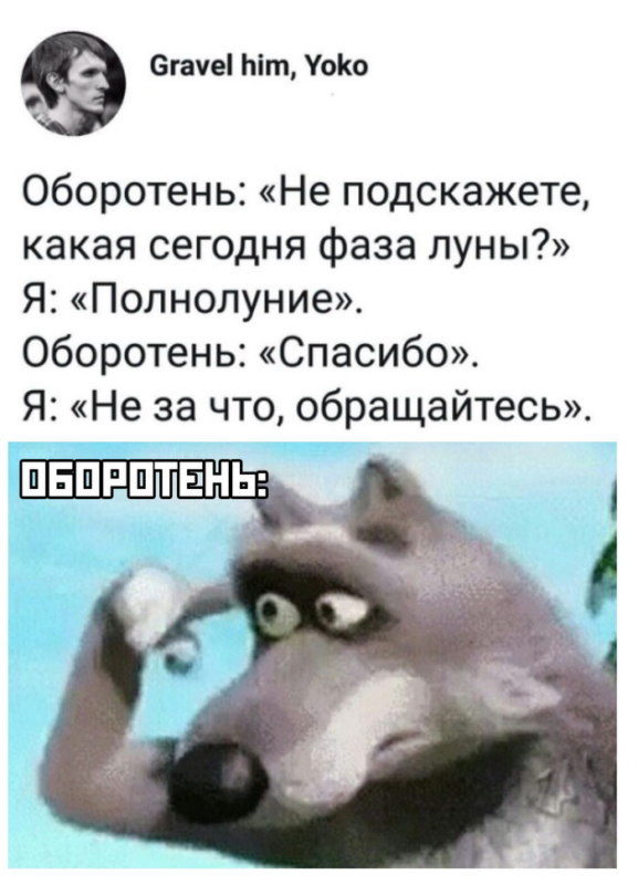 Волк с пальцем у виска