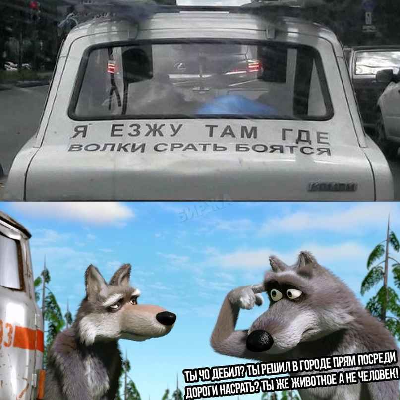 Волк с пальцем у виска
