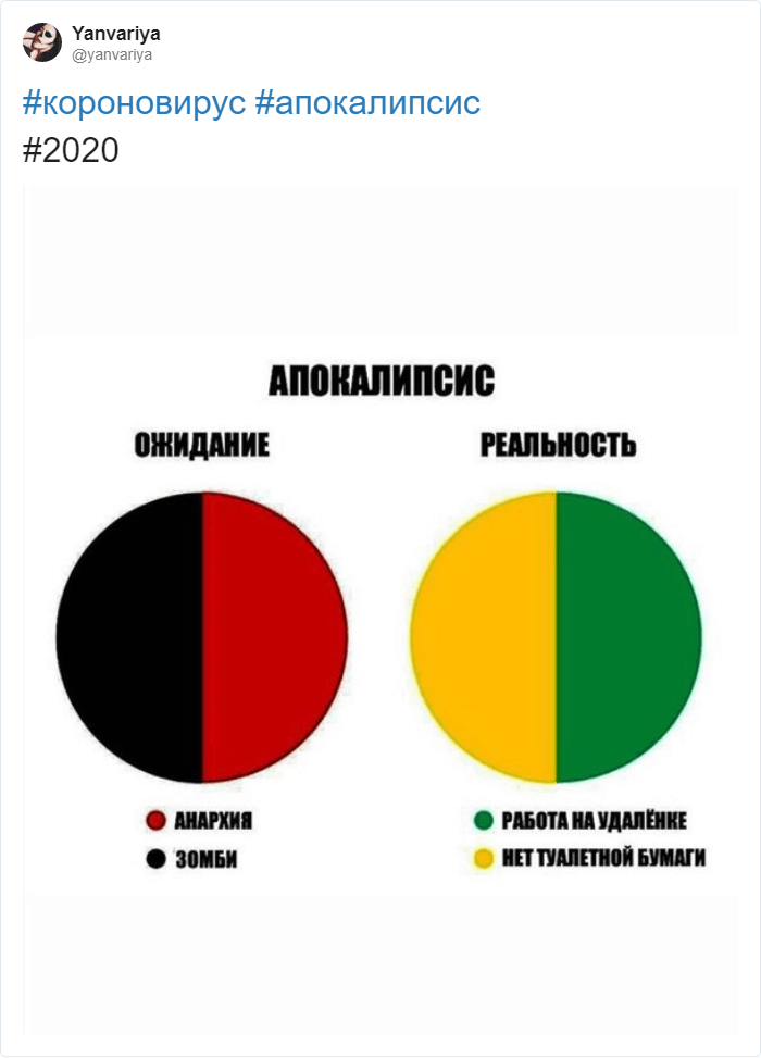 мемы про туалетную бумагу