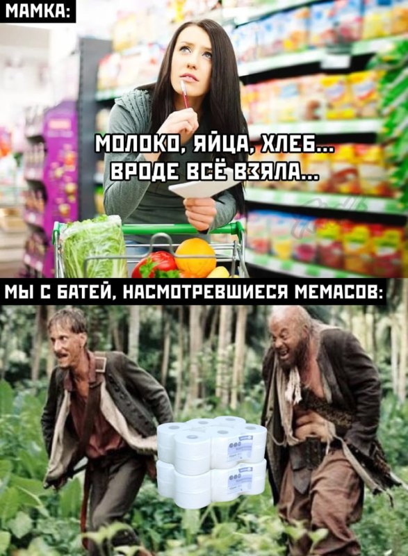 мемы про туалетную бумагу