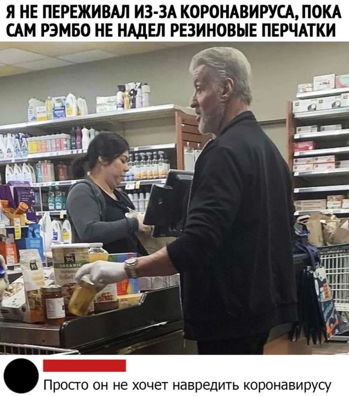 сталлоне на карантине