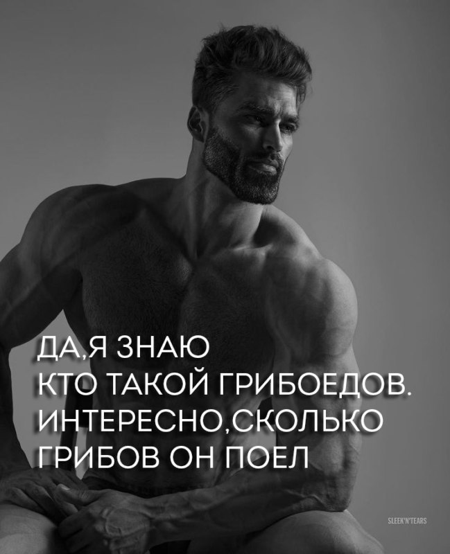 Эрнест Халимов GigaChad
