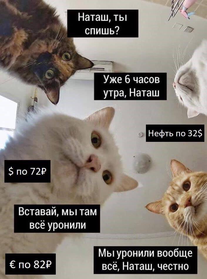 мемы про доллар мемы про доллар