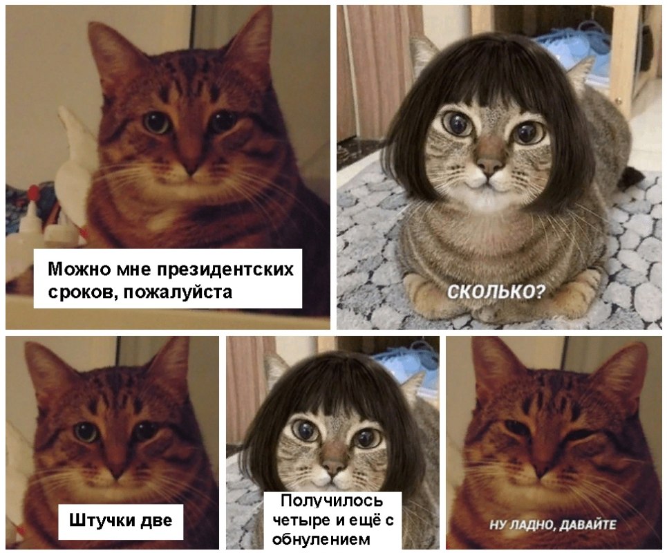 терешкова предложила обнулить сроки путина
