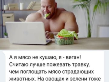 Качки с ноутбуками