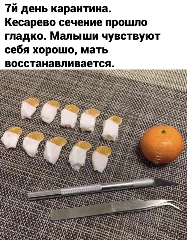 Мемы про карантин и самоизоляцию