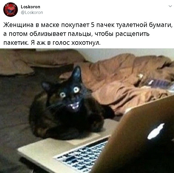 мемы про туалетную бумагу