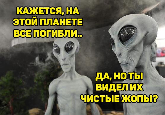 Мемы про туалетную бумагу Мемы про туалетную бумагу