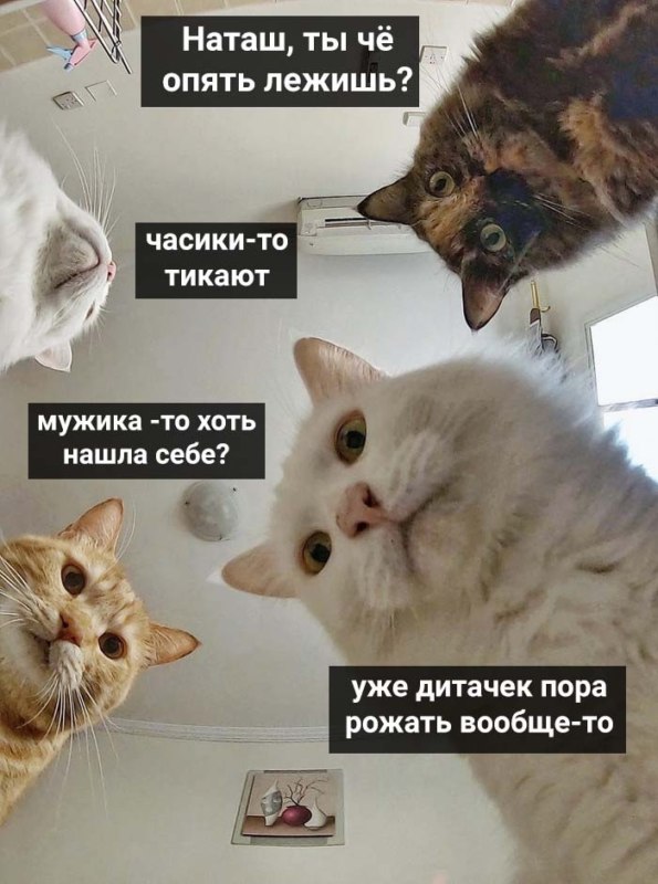 Наташ, ты спишь? Мы там все уронили