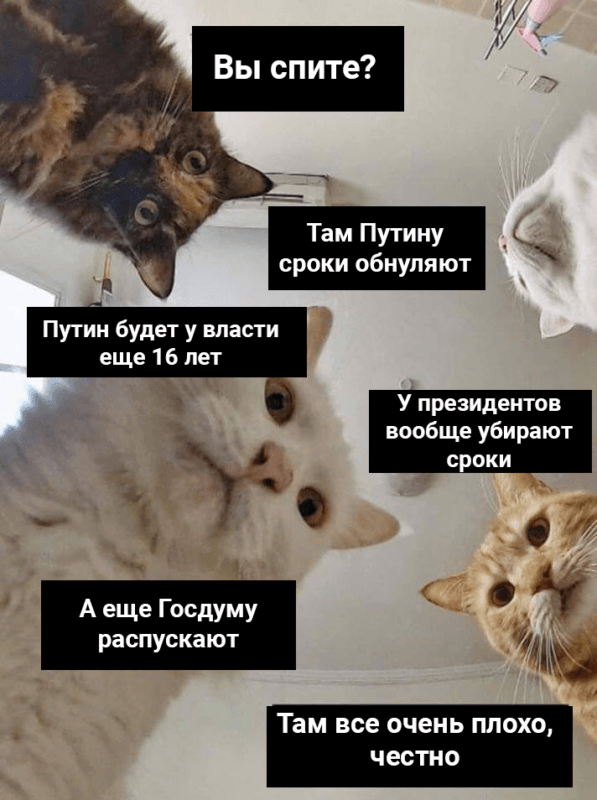 Наташ, ты спишь? Мы там все уронили