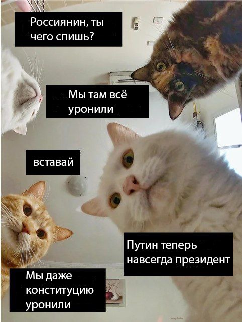 Наташ, ты спишь? Мы там все уронили