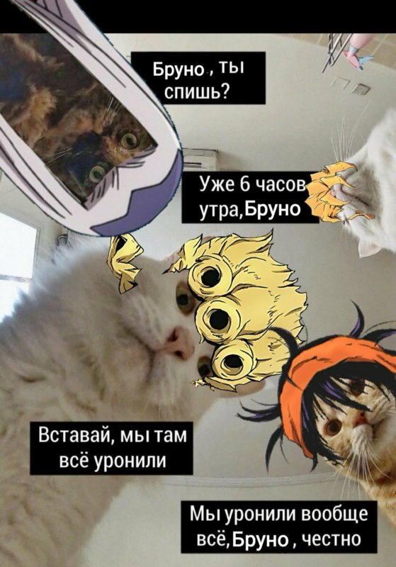 Наташ, ты спишь? Мы там все уронили