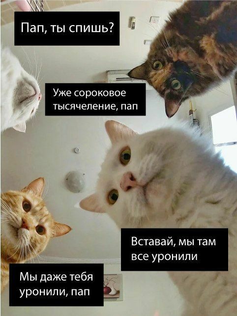 Наташ, ты спишь? Мы там все уронили