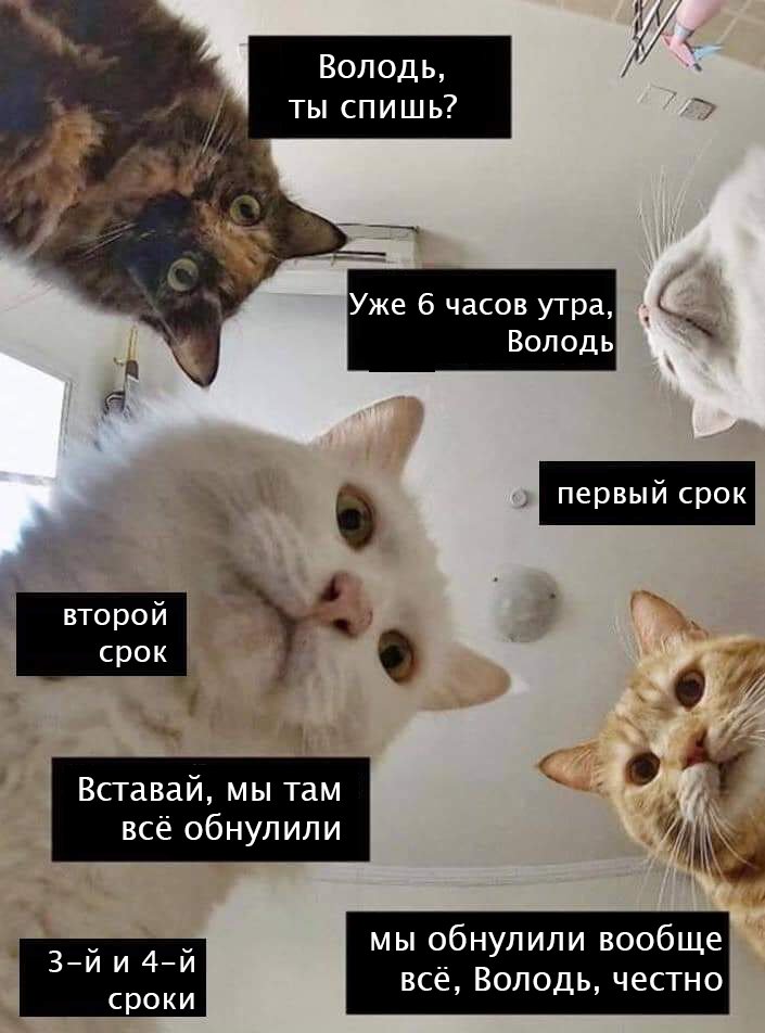 Наташ, ты спишь? Мы там все уронили