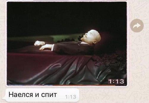 Наелся и спит Котенок умер Наелся и спит Котенок умер