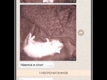 Наелся и спит