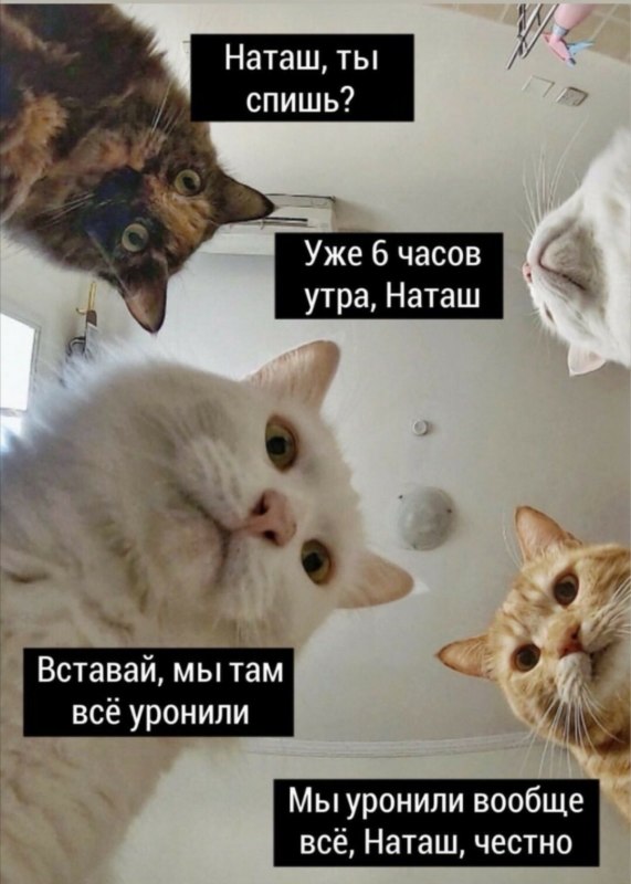 Наташ, мы там всё уронили Наташ, мы там всё уронили