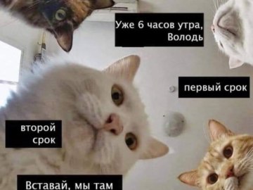 öбнулись