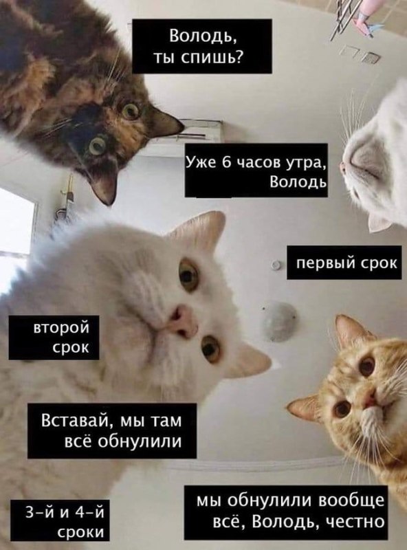 öбнулись