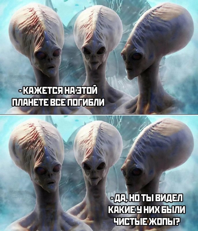 мемы про туалетную бумагу