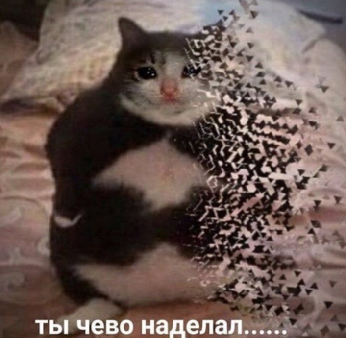 ты чево наделал мем