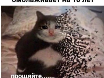Ты чево наделал