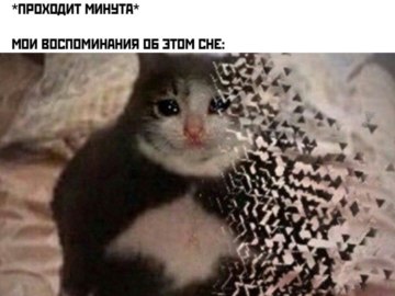 Ты чево наделал