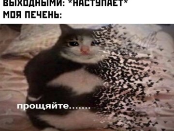 Ты чево наделал