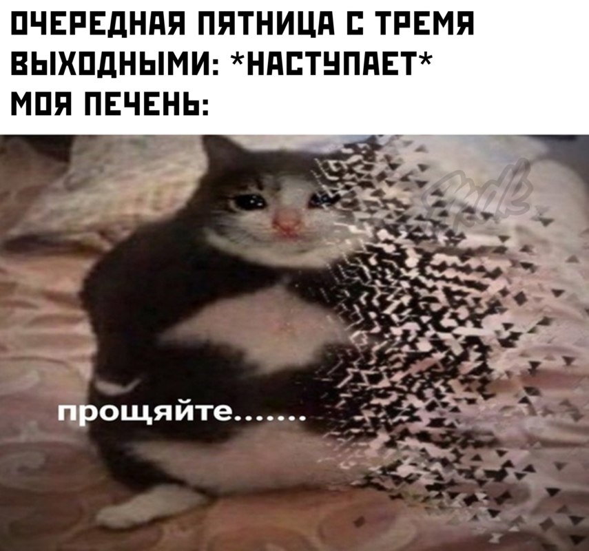 Ты чево наделал