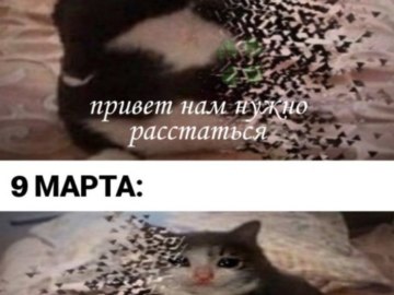 Ты чево наделал
