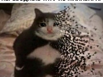 Ты чево наделал