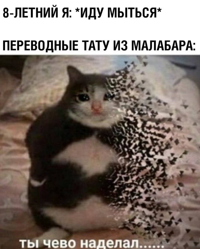 Ты чево наделал