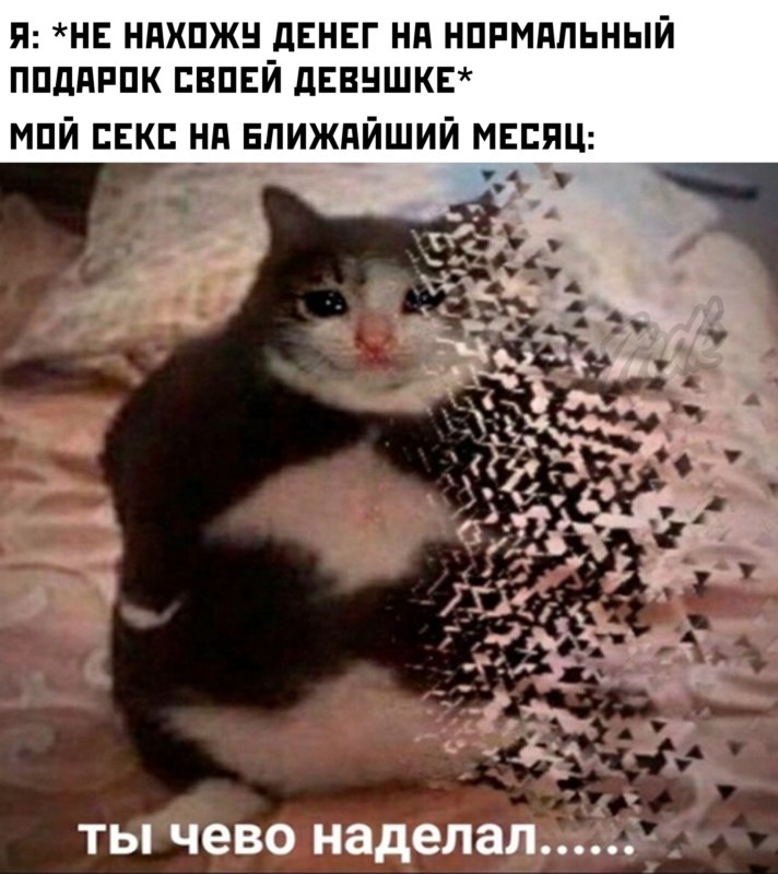 Ты чево наделал