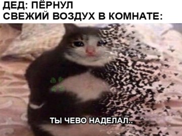 Ты чево наделал