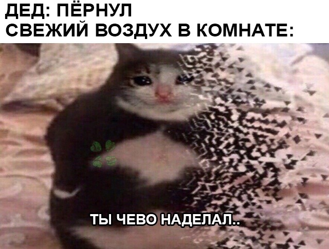 Ты чево наделал