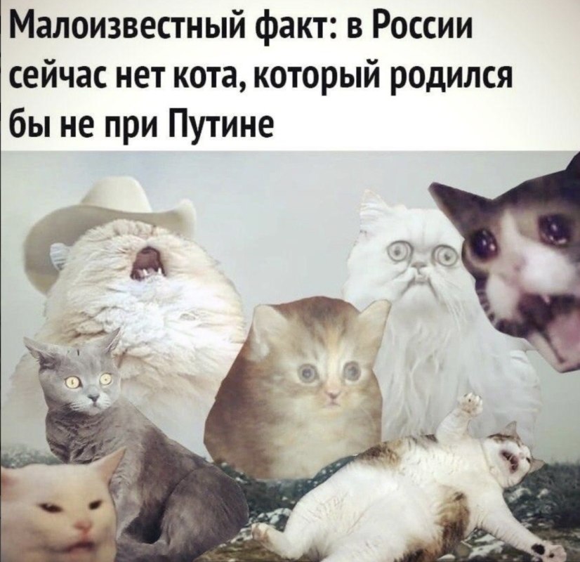 путин будет у власти вечно
