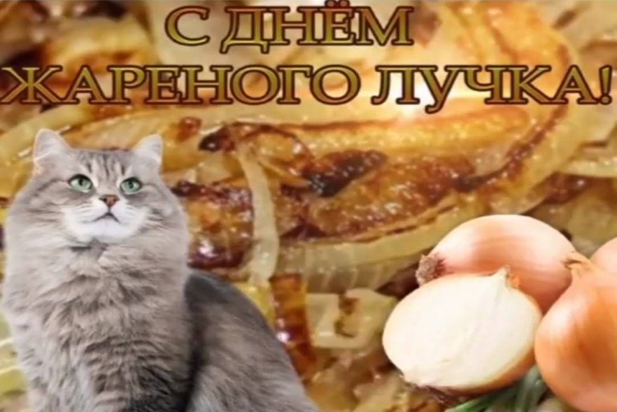 Дурацкие открытки в мессенджерах Дурацкие открытки в мессенджерах