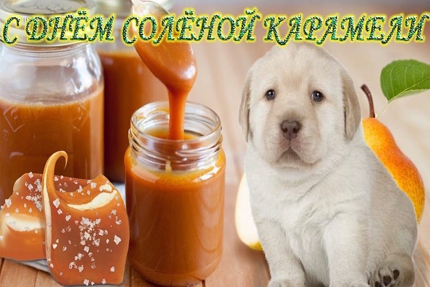 Дурацкие открытки в мессенджерах Дурацкие открытки в мессенджерах