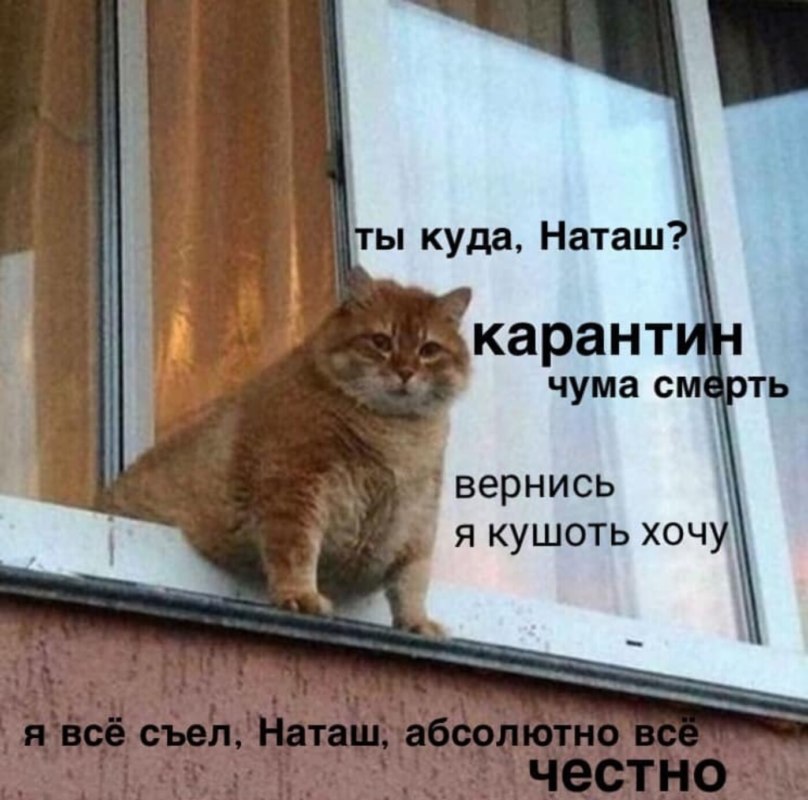 Наташа мемы Наташа мемы