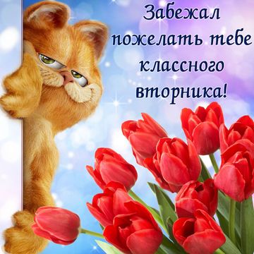 поздравления вотсап поздравления вотсап