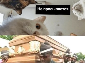 Негры несут гроб и танцуют