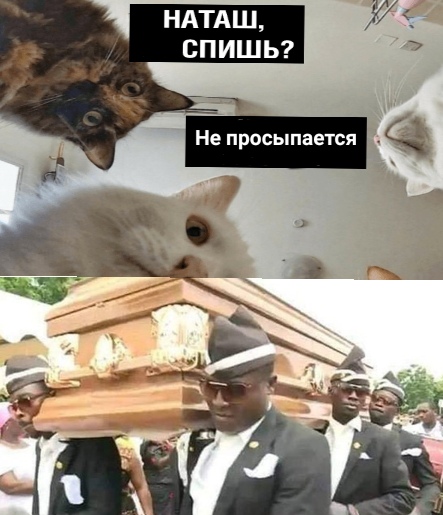 Негры несут гроб и танцуют
