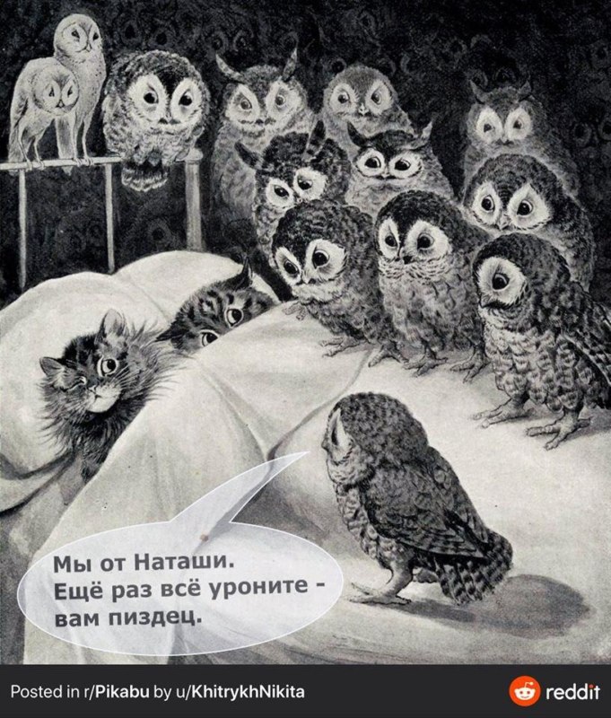 Наташа уронили Наташа уронили