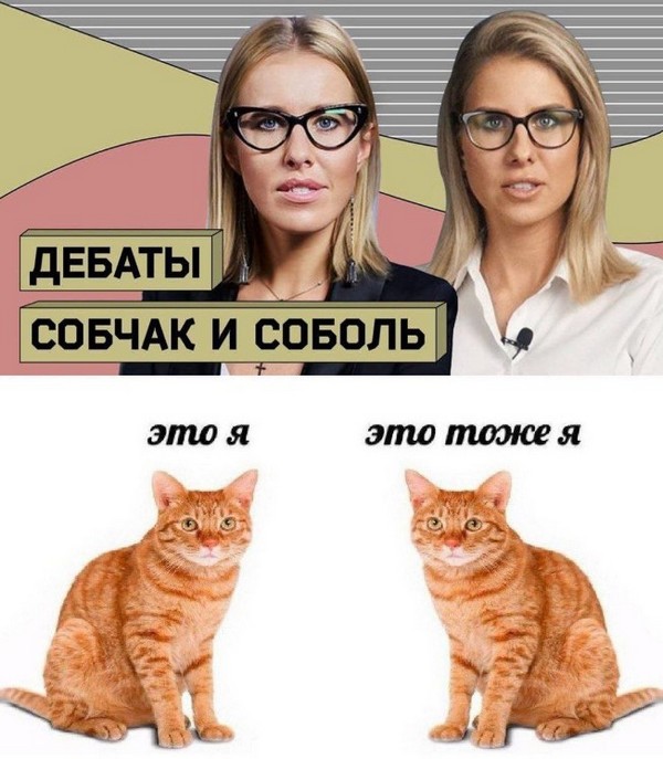 Собчак и Соболь