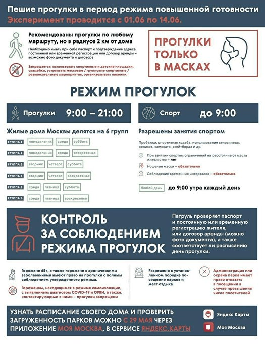 Прогулки по графику