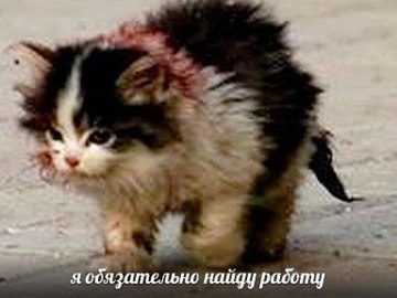 Я обязательно выживу