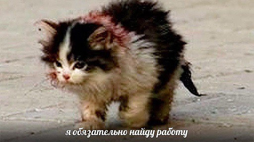 Я обязательно выживу