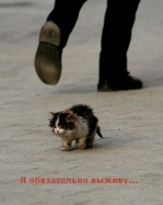 я обязательно выживу я обязательно выживу