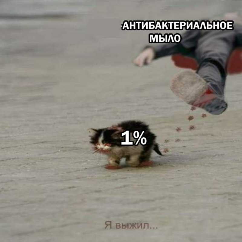 я обязательно выживу мем